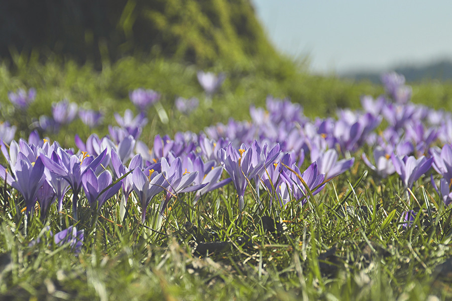 Flaschenpost und Frühlingssonne