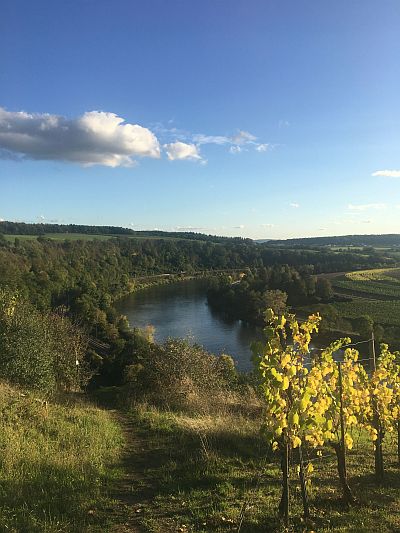 WEIN+MARKT berichtet über die Mosel