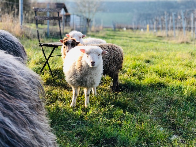 Probetag an Ostermontag